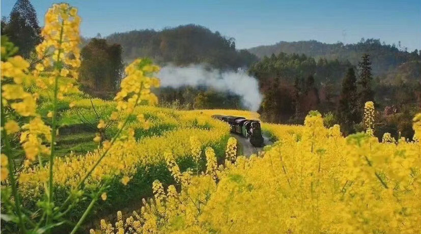八美，川西高原上，千姿百态的土石林与广褒的草甸、起伏的雪山、迷人的藏寨，构成一幅