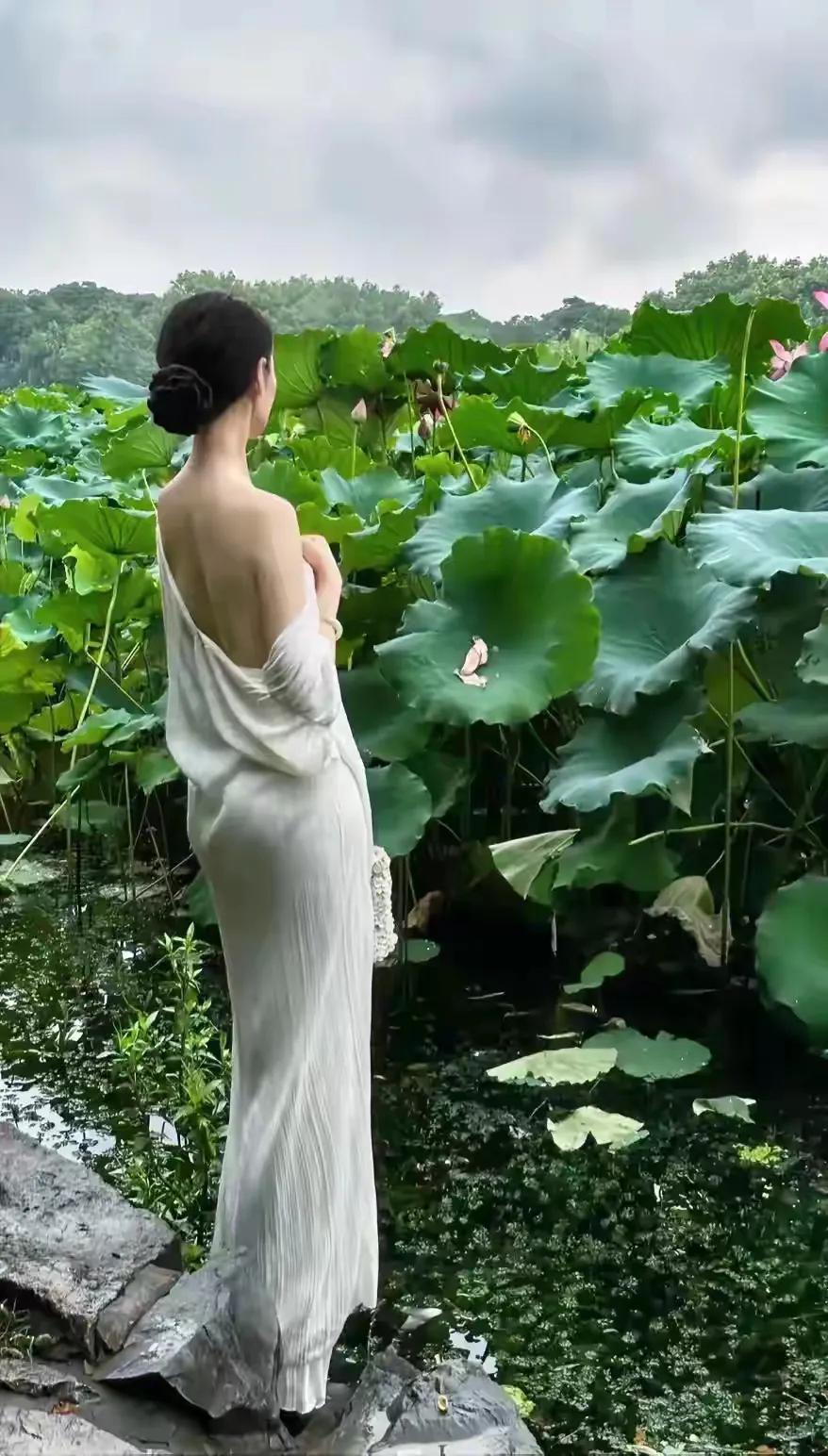 这个七月，这个夏天，一样的荷花，不一样的摇曳美！
