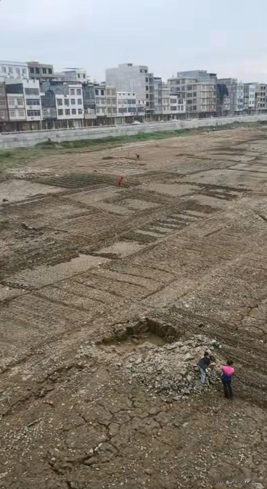 中国人真是勤快！河水退去河岸迅速被开垦成横七竖八的菜园子。[赞]这条河就是广