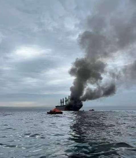 当地时间3月11日，悬挂泰国国旗的货船“MayureeNaree”在霍尔木兹海