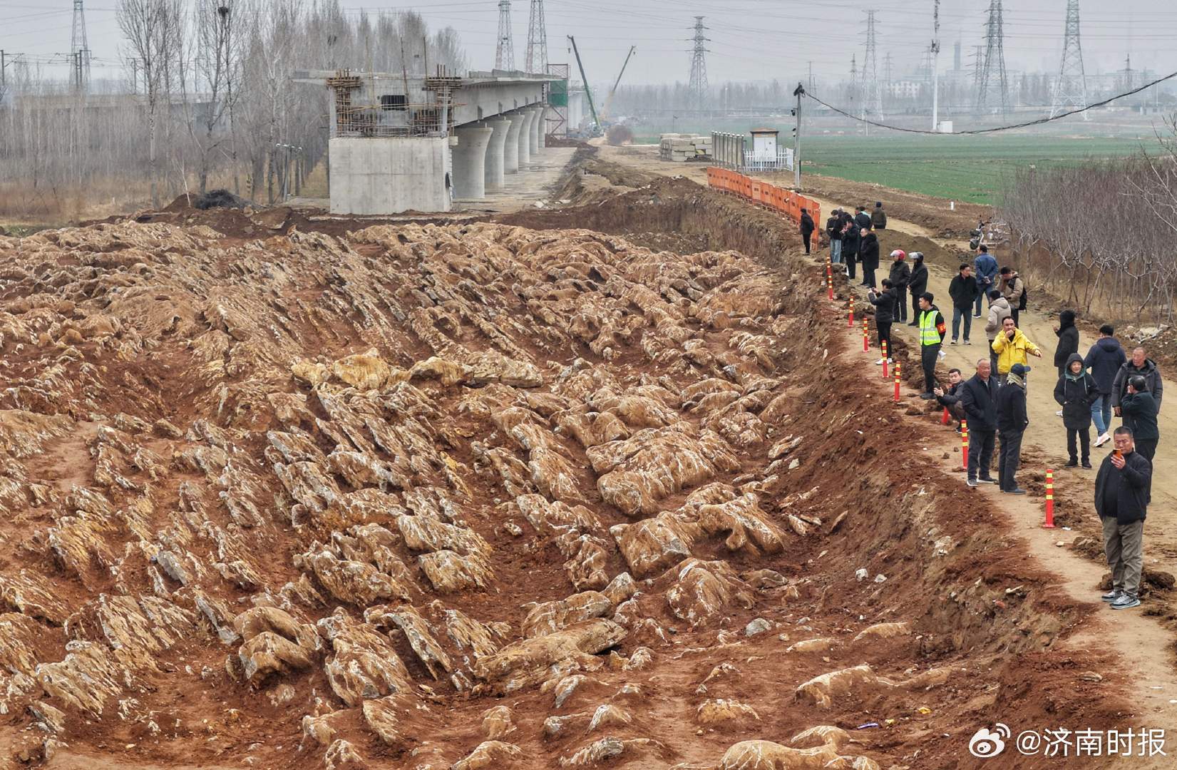 【#泰安一地发现石海#】#专家回应泰安一地现石海#近日，济枣铁路宁阳段发现“石