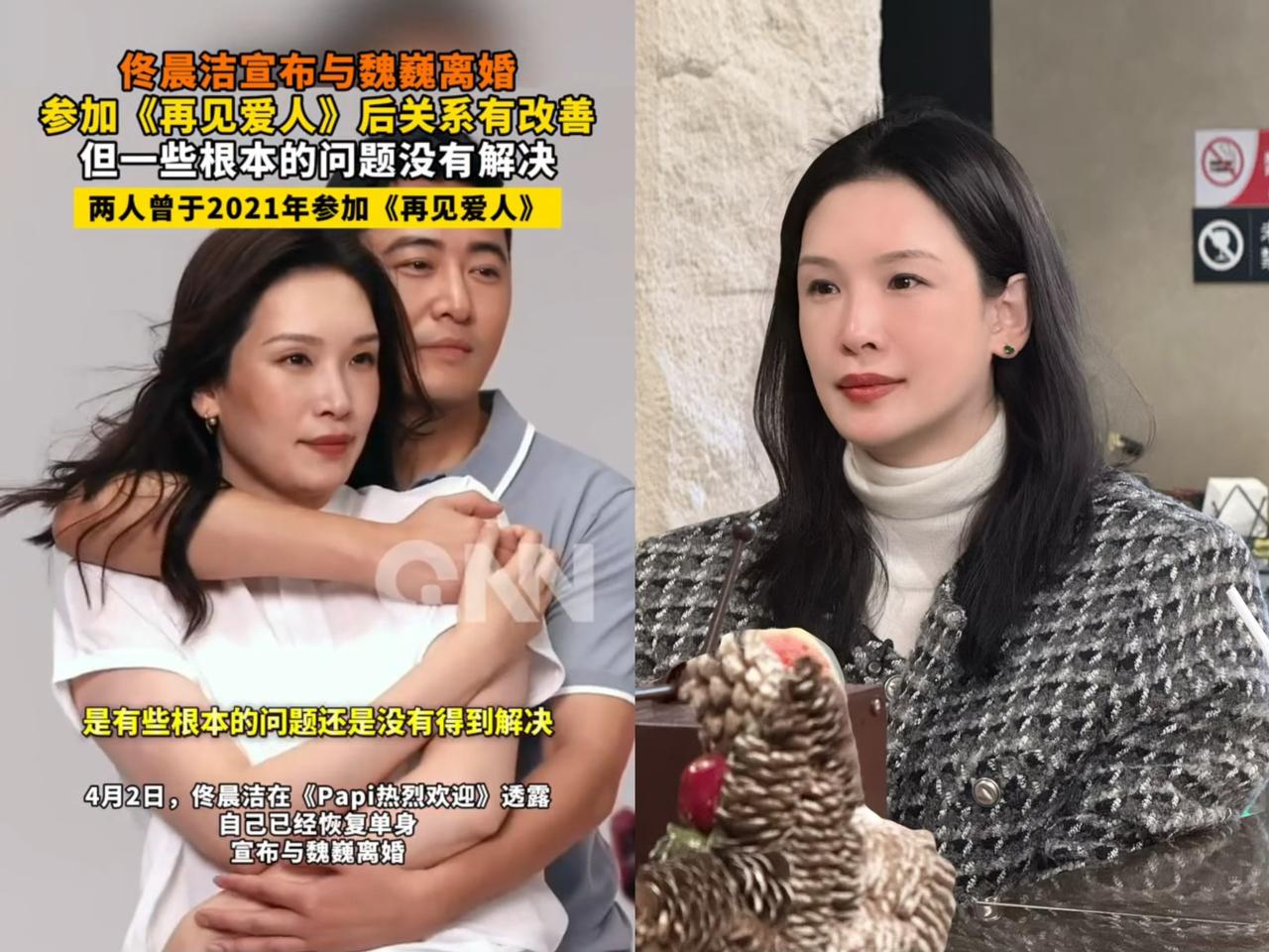 佟晨洁离婚后，我才仔细去了解魏巍，这一了解，好家伙真被惊到了！好多人对他