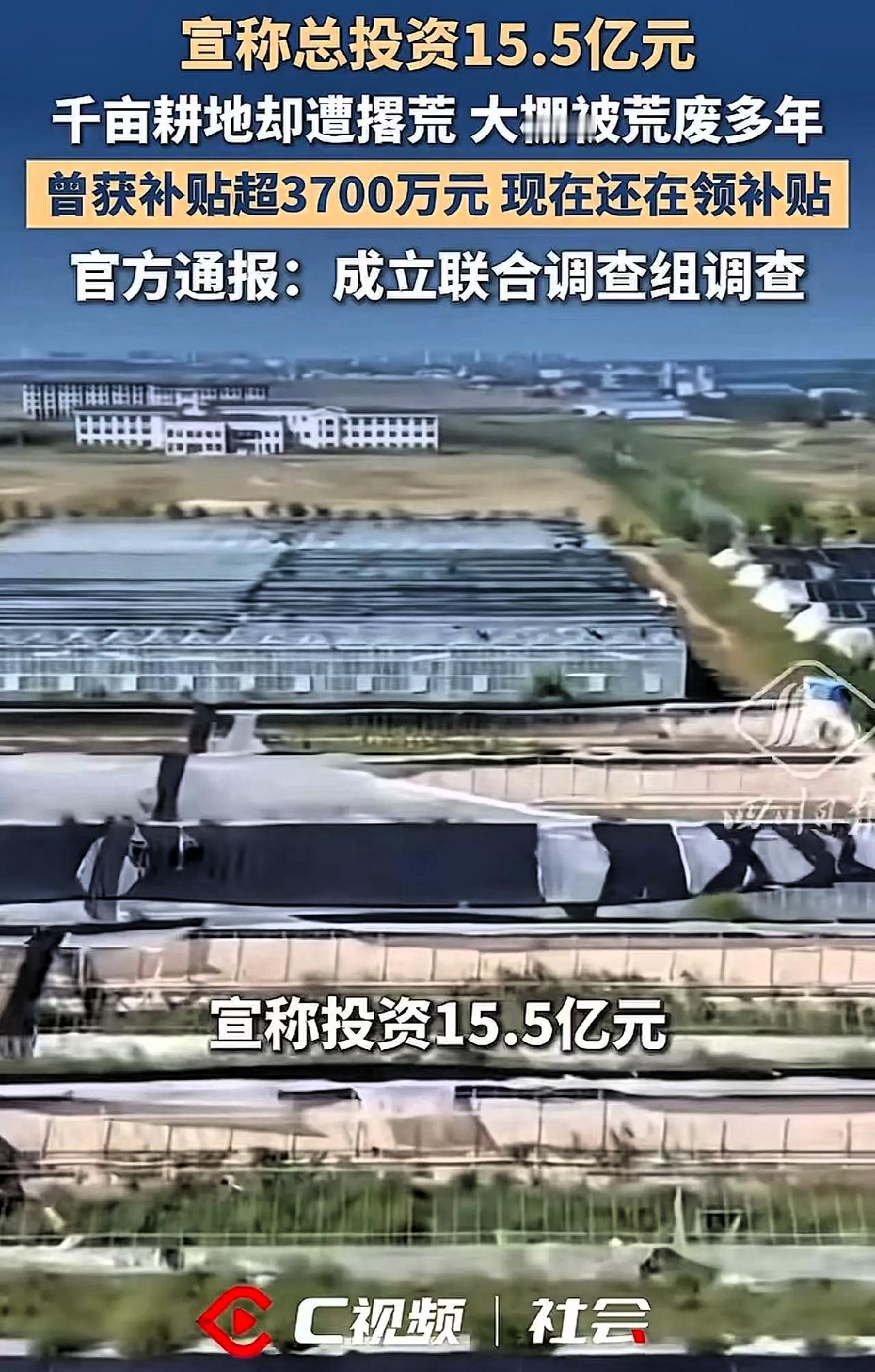 “终于被央视曝光了！”吉林松原，一个占地600公顷的蔬菜大棚，大面积荒废，3年间