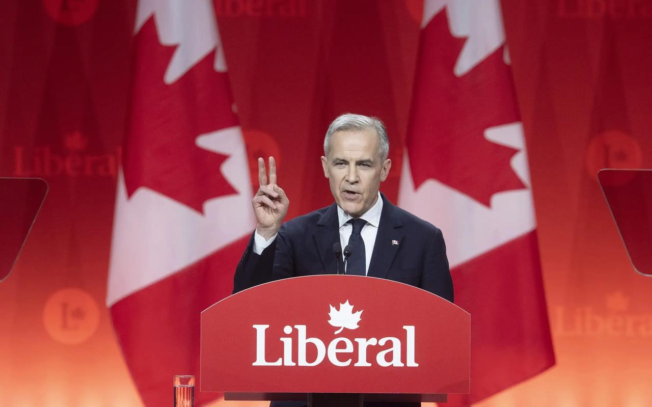 中国签下对加协议，电车出口4.9万辆，很多人以为加国是在帮自家车企练兵，错了！真