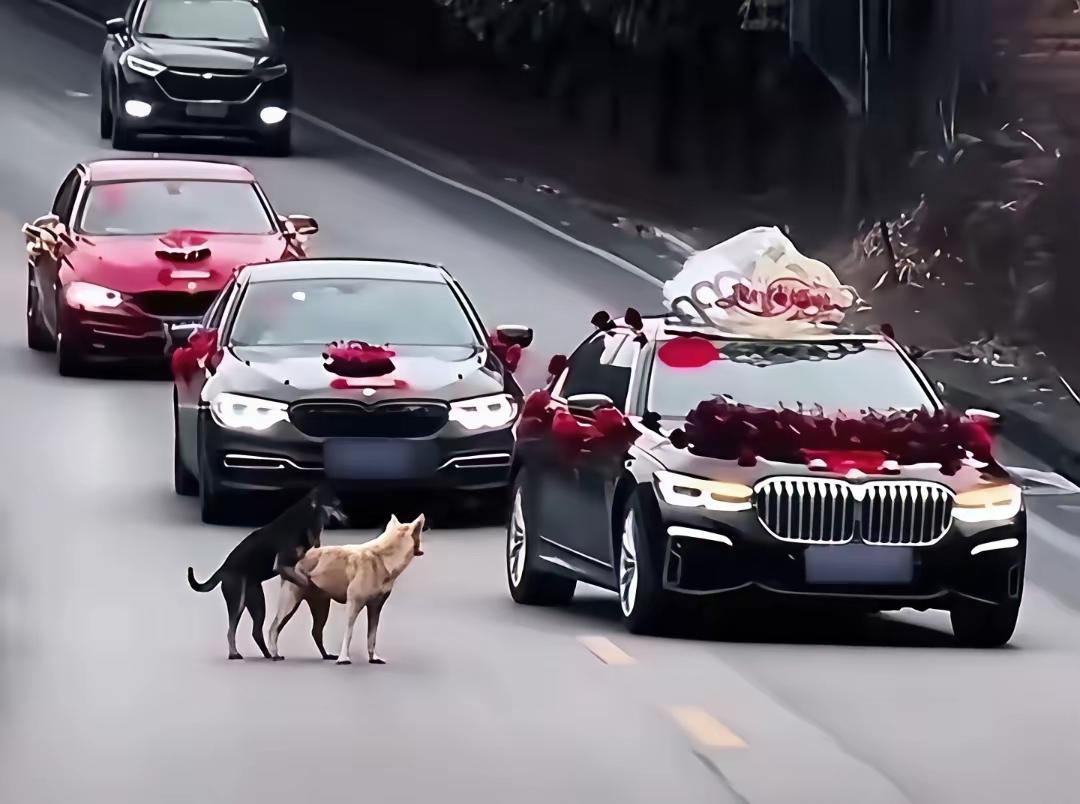 先打个样，都学着点[捂脸哭]