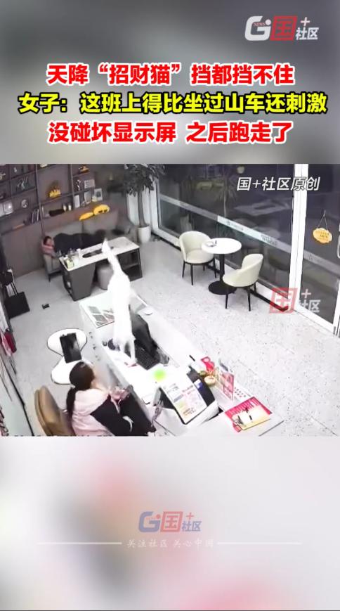 “解释不清了！”11月19日，湖北宜昌，一女子专心工作时，头顶突然传来异响，随后