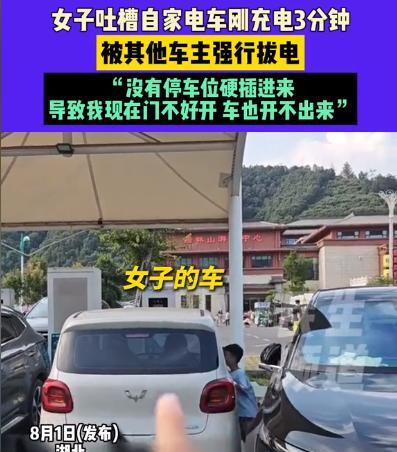 “活不起了？”近日湖北，女子把车停在车位上面充电，不料，就三分钟的功夫，回来一看