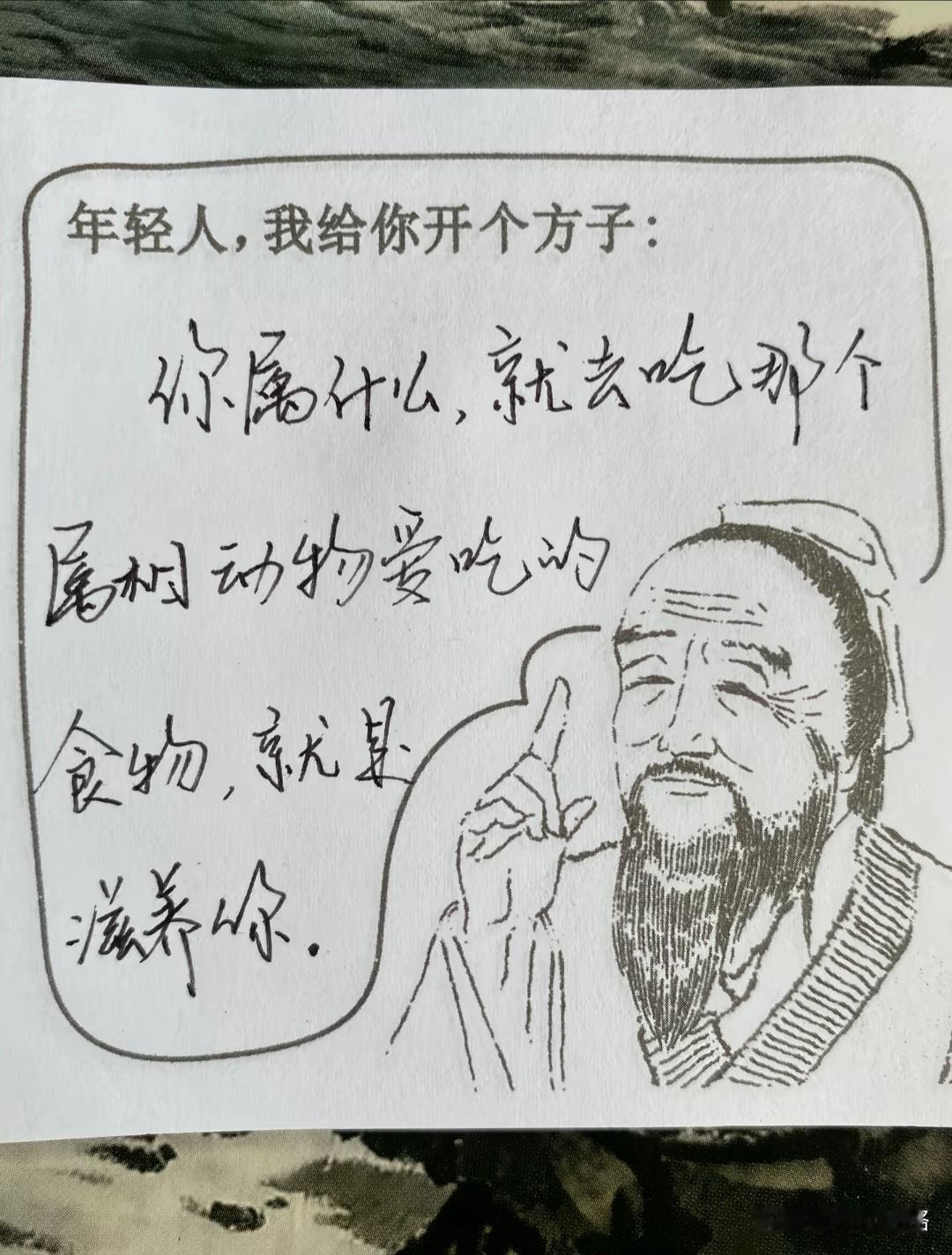 请问我们属狗的吃啥