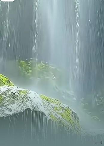 真正的聪明，是懂得“躲”真正聪明的人，从不是凡事争强好胜，而是深谙“躲”的