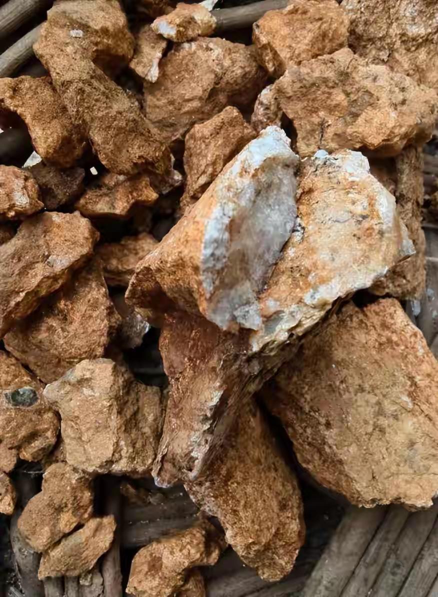 8岁男孩爬山大喊山下有黄金，真相曝光后，打脸多少敷衍教育的父母男子与家人在