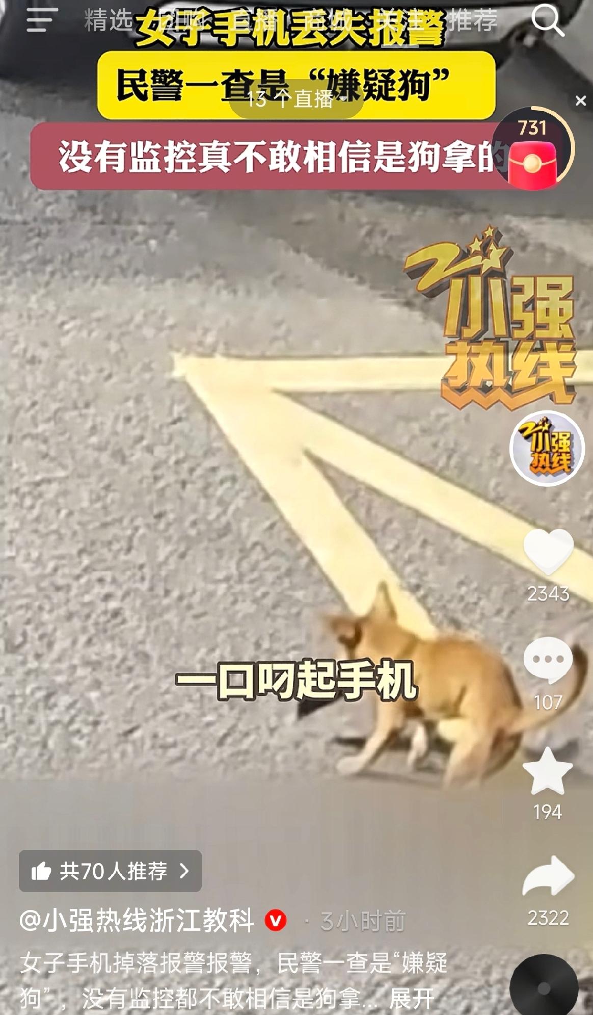 笑不活了！浙江嘉兴，一女子早上骑车上班，半路上发现手机不见了。她沿途找了个遍，连