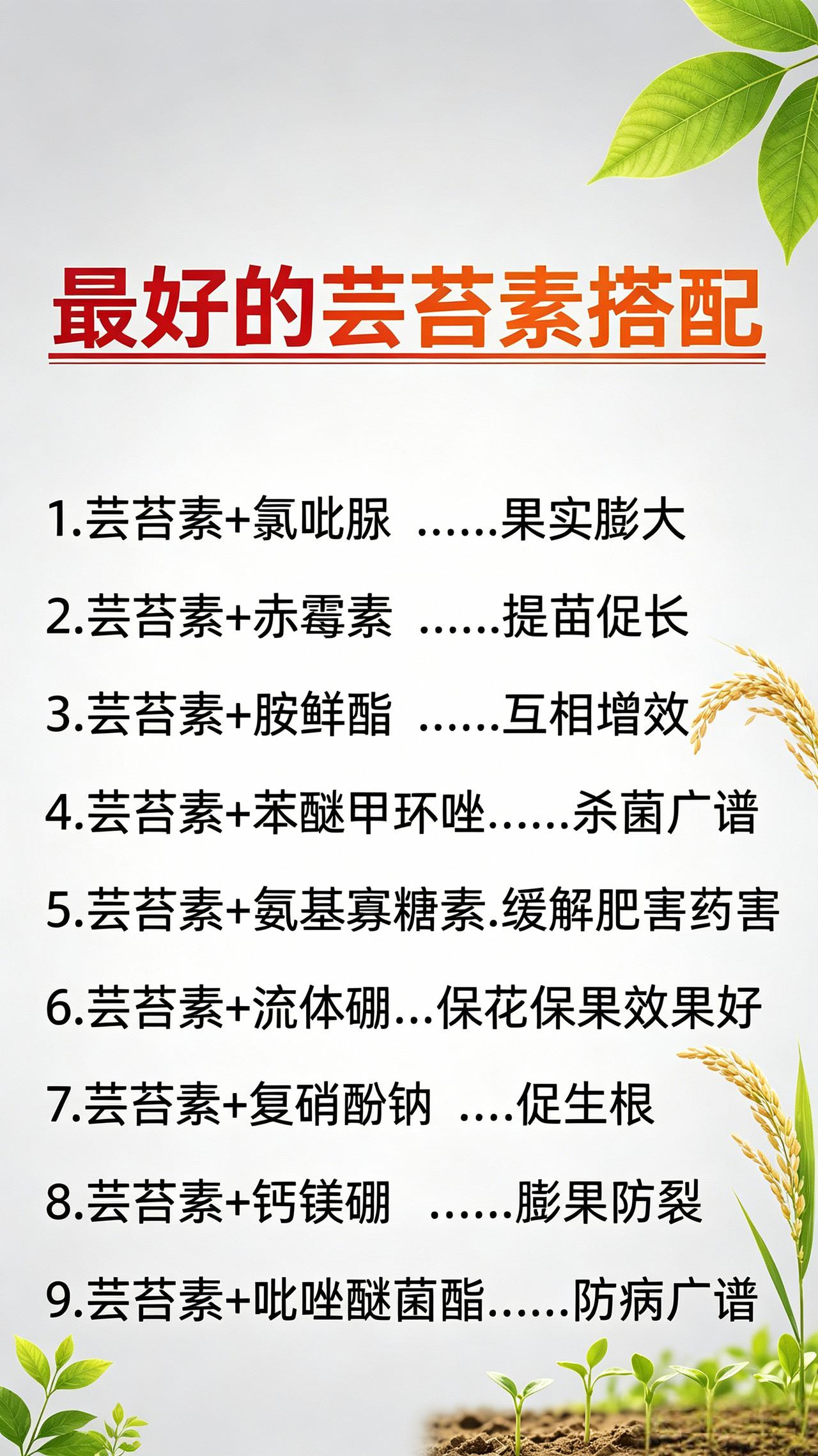 农业种植增产增收调节剂芸苔素