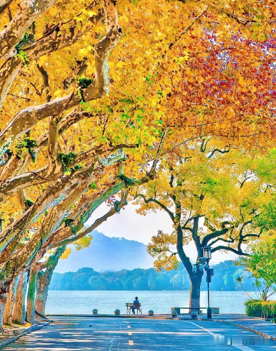 秋无喧嚣，以风、雨、花、露为笔，写尽世间素简禅心。秋色入眼是风景，秋色入心，便是