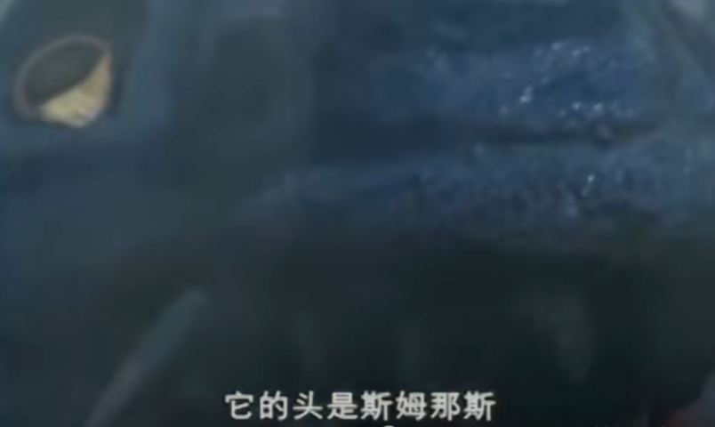 <em>奥特曼</em>翻译最离谱的一集，说的没有一个是正确的，<em>泰罗</em>：太难了！