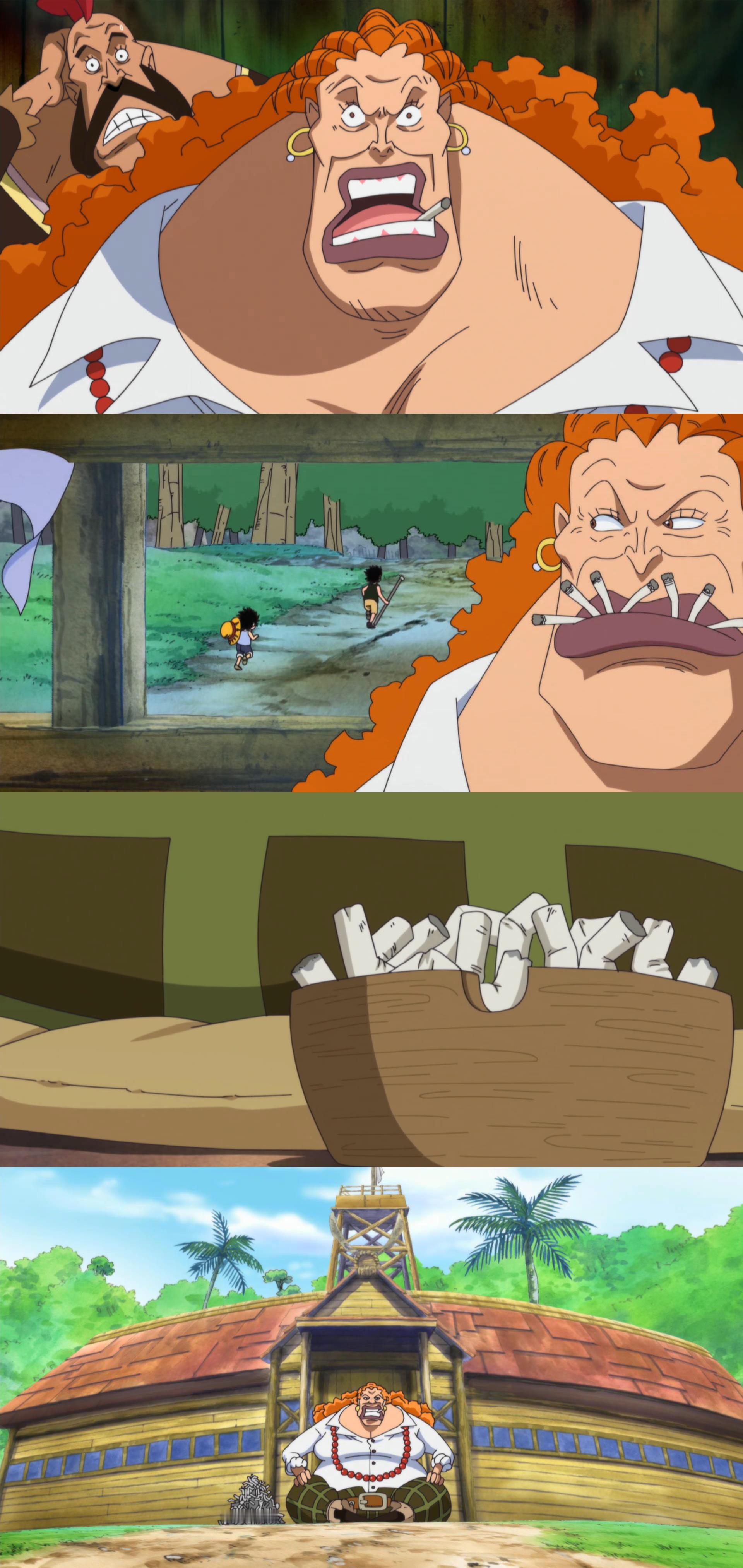 海贼王海贼王操心的老母亲