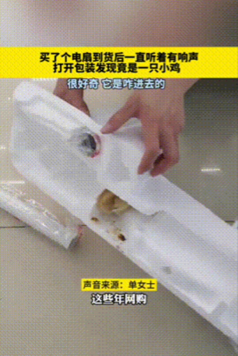 “简直就是捡钱！”黑龙江，一女子网购了一台电风扇，结果收到货后，竟听到包装箱里有