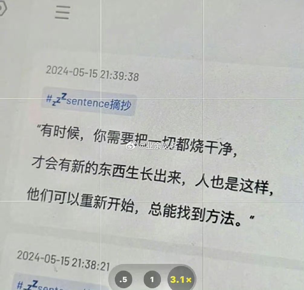 你需要把一切都烧干净，才会有新的东西生长出来