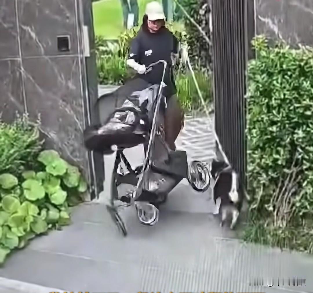 女子一手推着婴儿车，一手牵着自家宠物小狗，突然冲出来一只没拴绳的成年边牧，直扑着