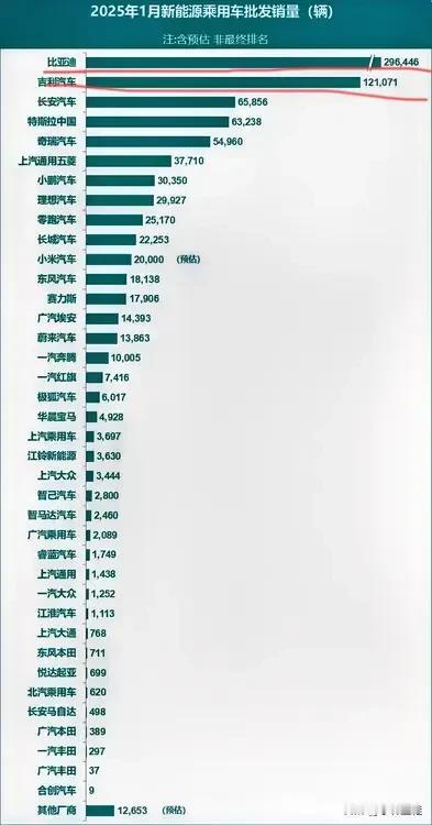 虽然做图很辛苦，但还是要批评一下！就拿第1名跟第2名来说，25年1月新能源汽车