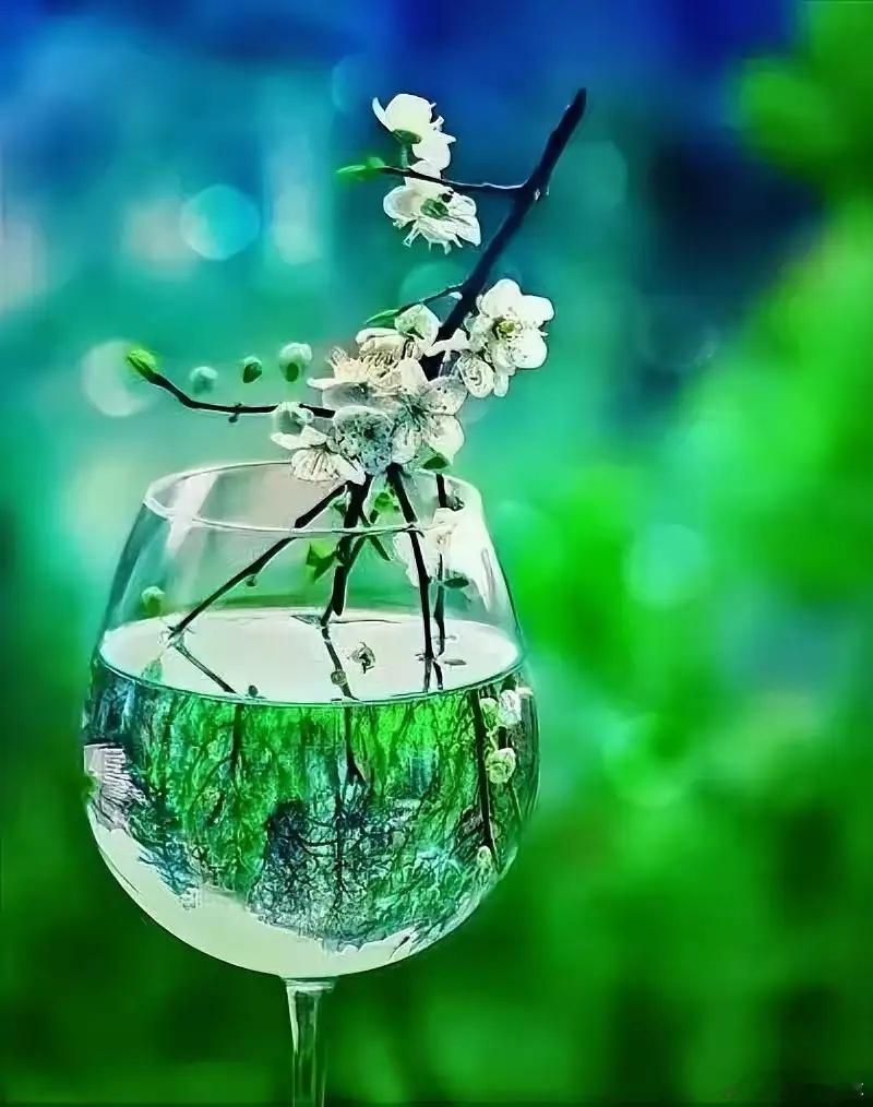 巴菲特：人这一辈子，只做5件事就行了；1、研究挣钱：钱能解决人生中90%的问题，