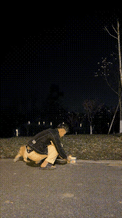 放个烟花差点把我气笑！这只笨蛋小狗真的没救了！春节放烟花，刚一点燃，火花滋