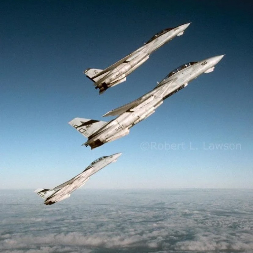 猫宁。老学校时代的F-14大猫