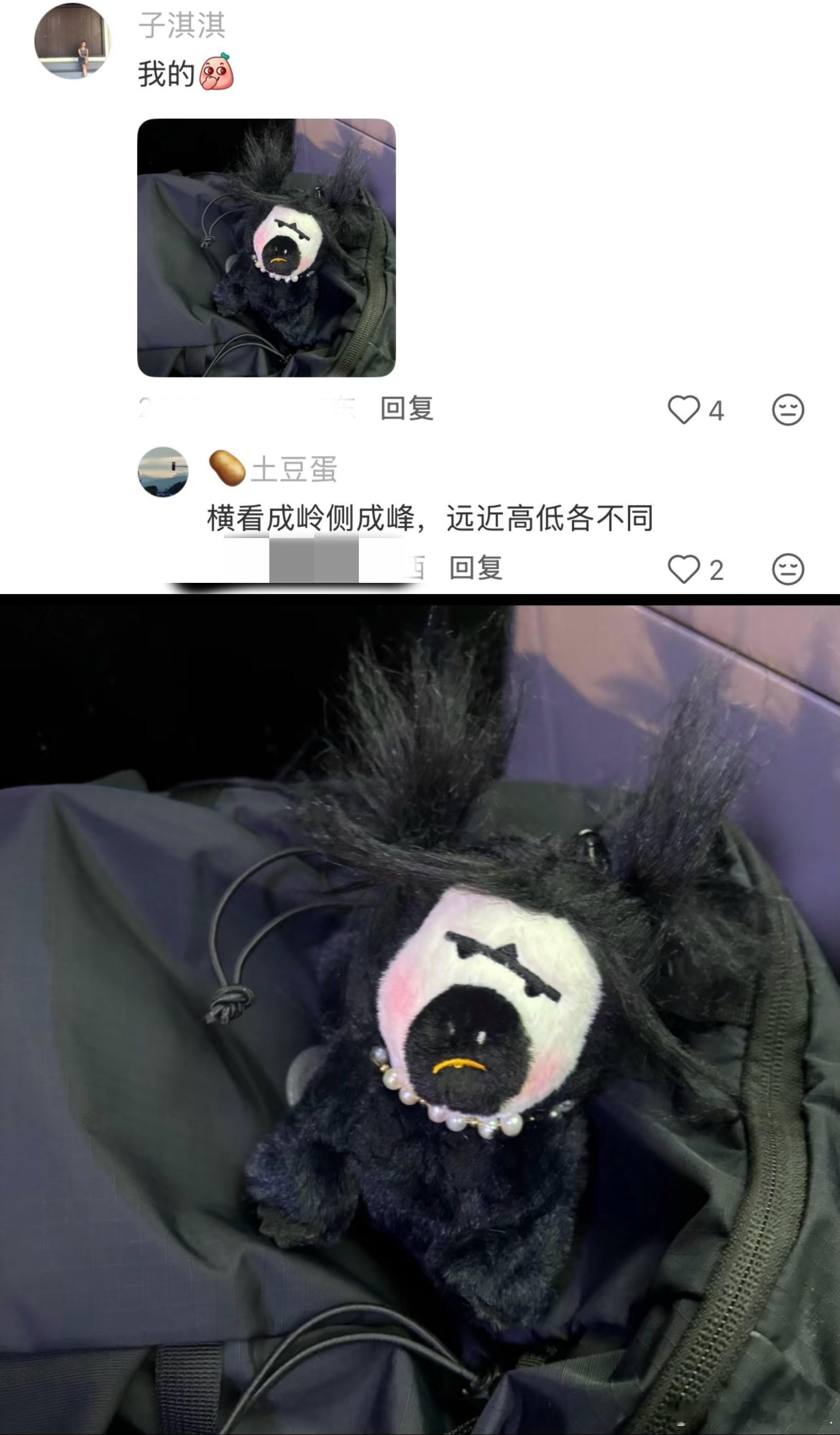 包挂界有自己的显眼包