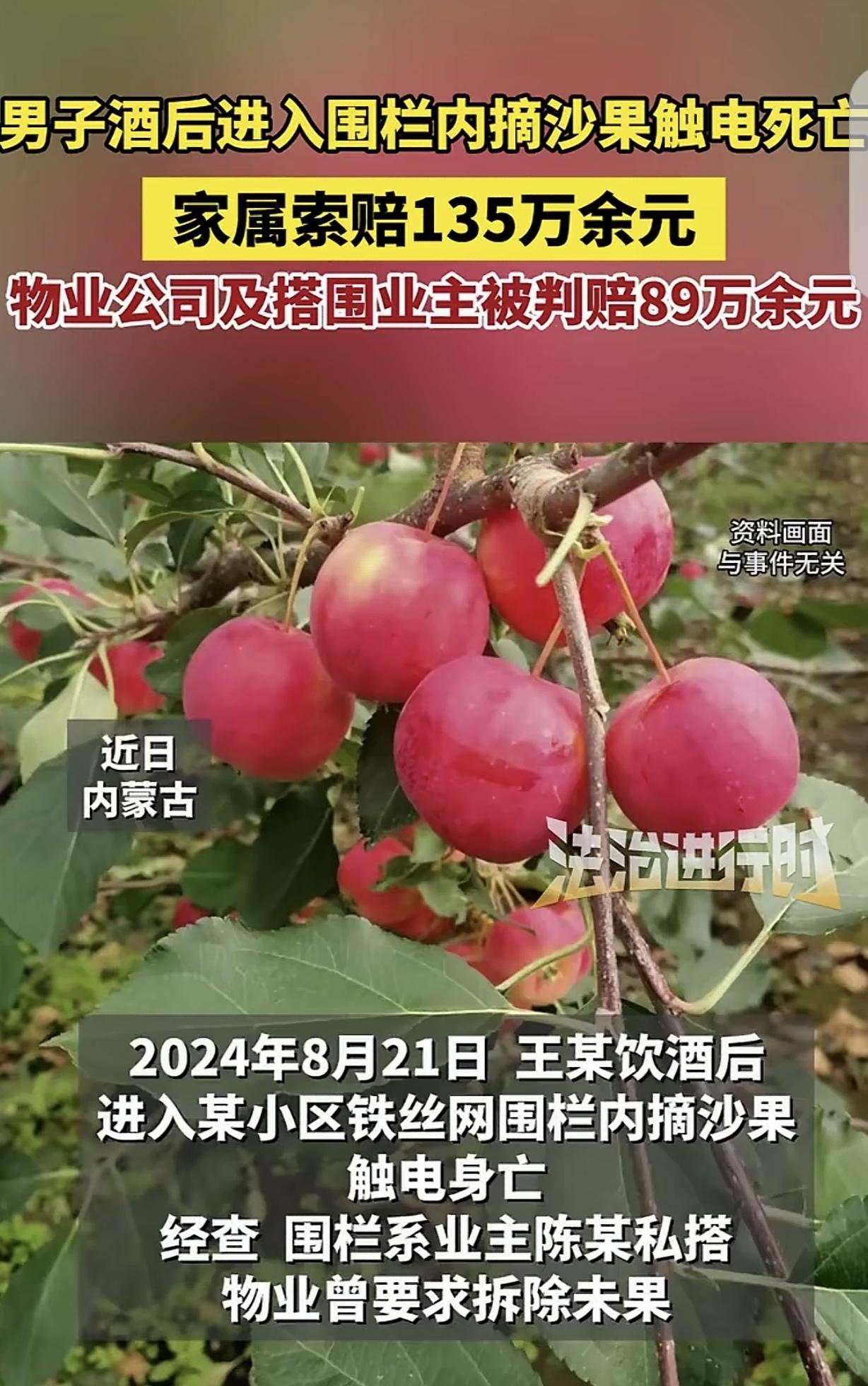 “三观碎了一地！”内蒙古，一男子喝完酒，进某小区铁丝网围栏摘沙果，不幸触电身亡。