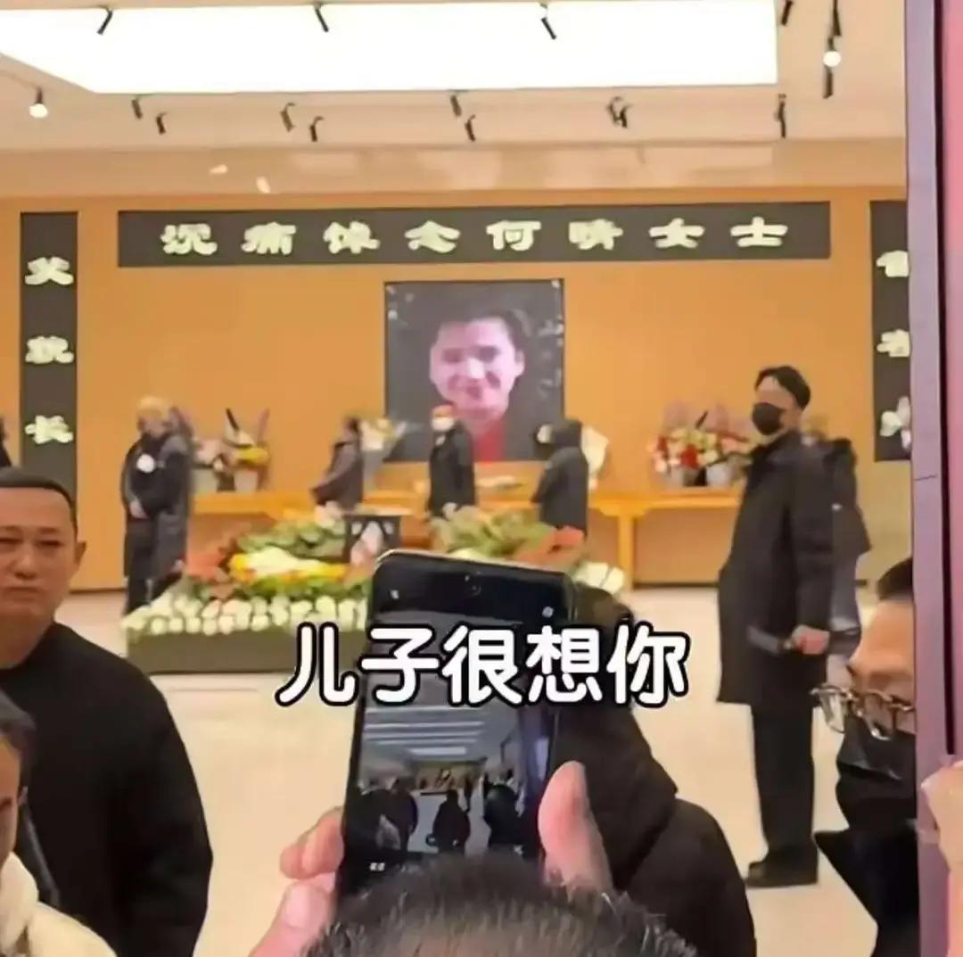 何晴老师走了，是因为脑癌。很罕见的那种。昏迷那十九天里，儿子许何天天在她床边，放