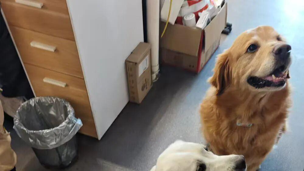 AGM G3 Pro：热成像手机到底是不是智商税？