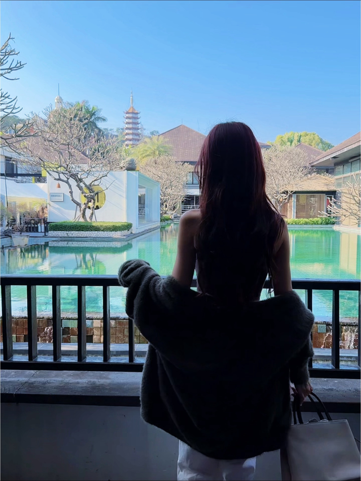 很久没回厦门回来就跟旅游一样