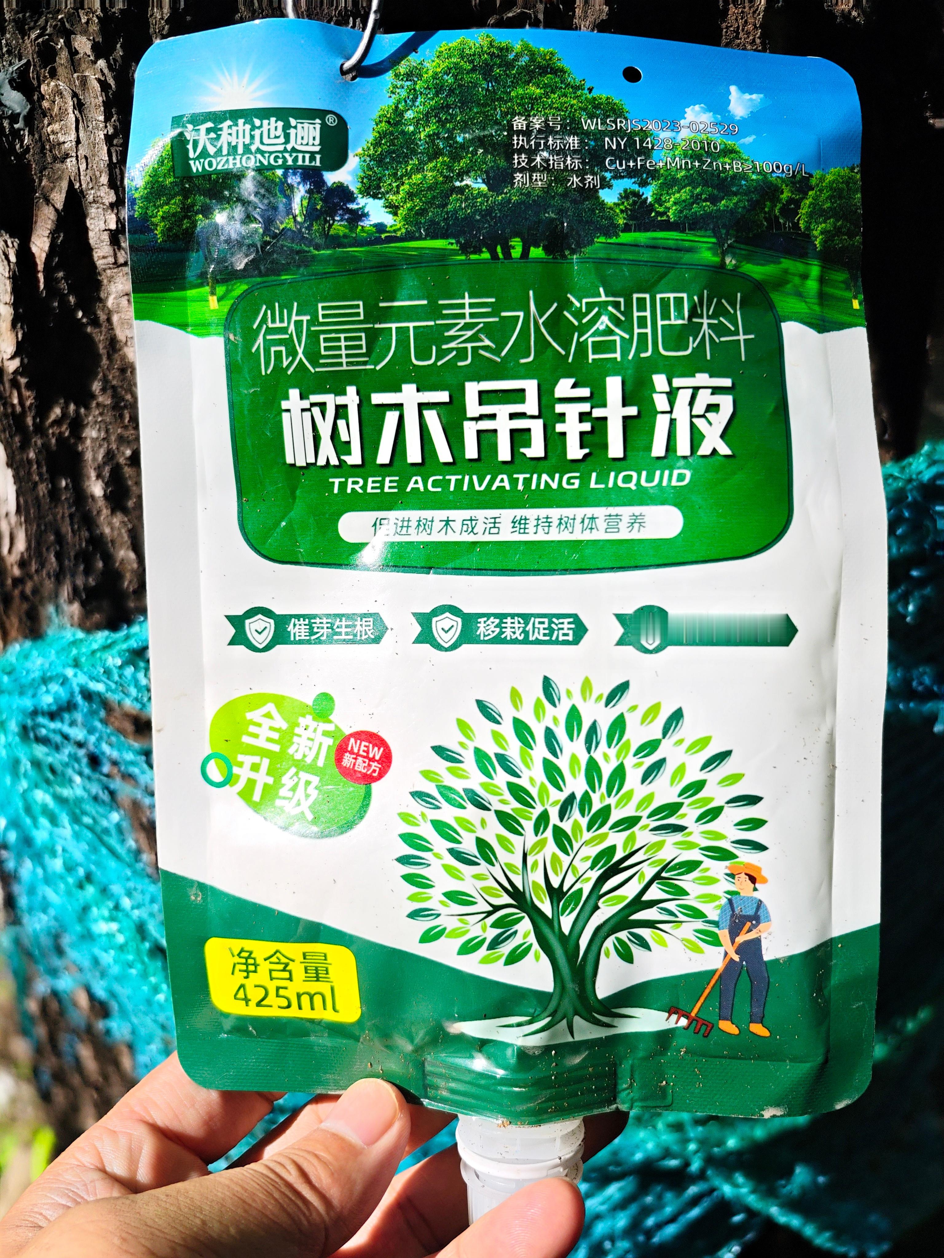 给我们家70多岁的古桑，也应该安排输液了！那是我爸年少的时候栽的桑树，如今，桑树