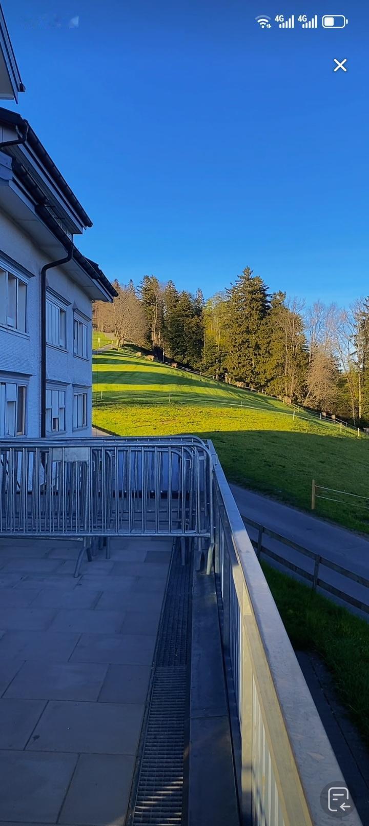 流浪汉的狗算不算流浪狗，这还真有点争议。有人觉得有主人就不算流浪狗，只能算散养。