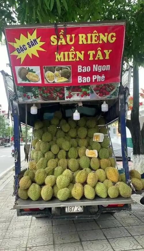 一颗榴莲扯出惊天贪腐！越南农业副部长落马，对华水果贸易的信誉危机摆在眼前。