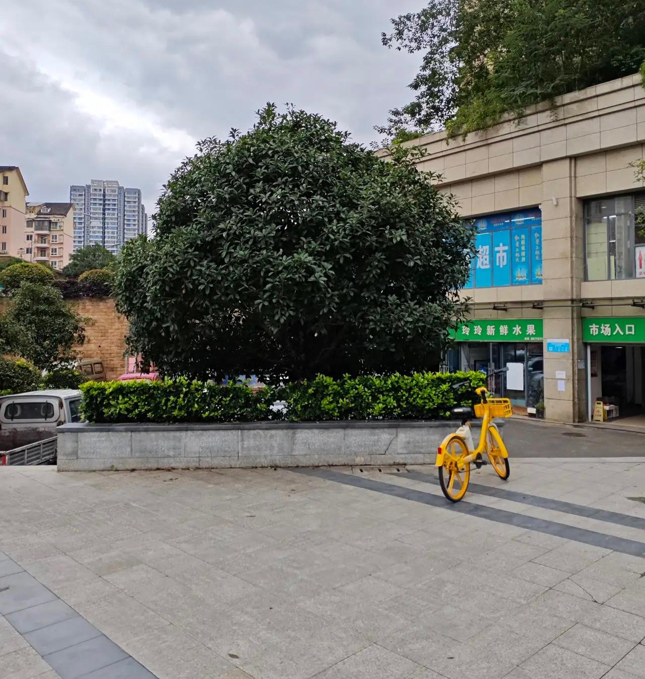 相亲遇上“抢金镯子”？这哪是找对象，分明是来“薅羊毛”的！真的要被这相亲闹剧