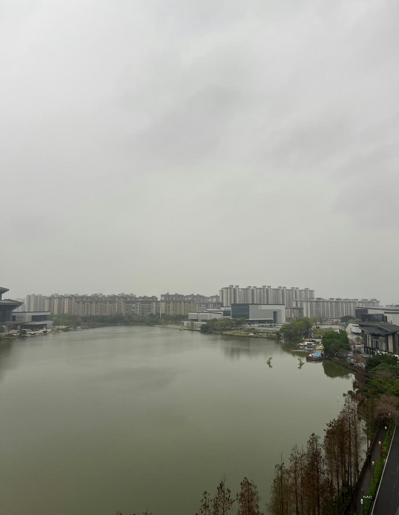 今日运势：丙午年辛卯月丙申日2026.3.23日鼠：吉星高照顺利如意牛