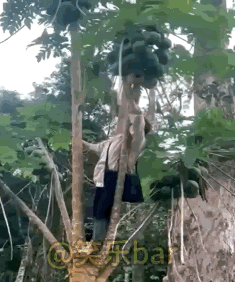 事实证明，自己没有实力，抱着哪里都一样。