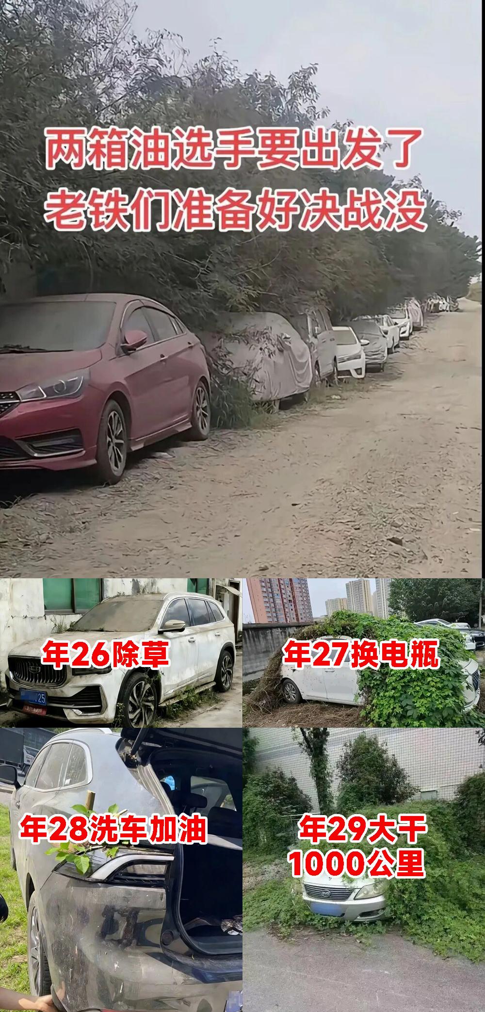 一年两箱油大军又要出马了：年26除草，年27换电瓶，年28洗车加油，年29大干