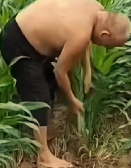 这就是格局！山东，一老人去世欲下葬，但祖坟却在多年“仇家”的田地里。老人子孙担心