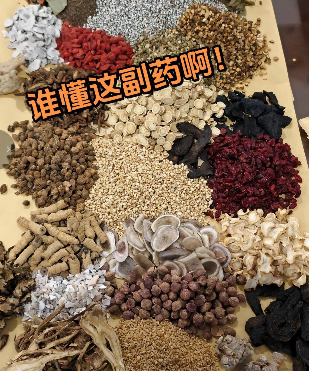 我15岁的时候，父亲就开始教我祖传药方和风水知识，长大后又去终南山，龙虎山，茅山