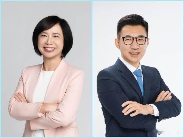 台中市长最新民调：江启臣领先何欣纯12.6个百分点TVBS台中市长选战最新民