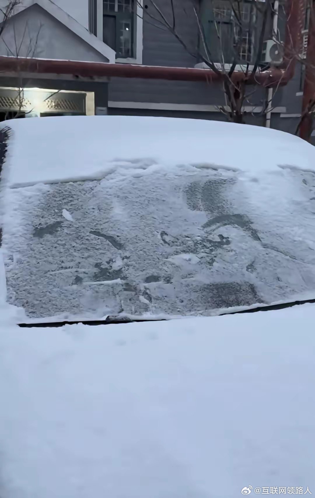 我都这副模样了，那些纸壳子还是被它们给拿走了。