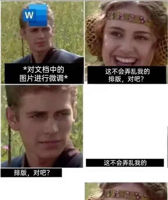 word确实难搞梗图搞笑meme