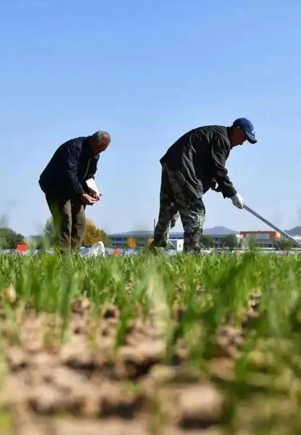 现在我们国家有一个非常矛盾的问题，都知道农民种地不赚钱，但粮食却不能涨价，因为粮