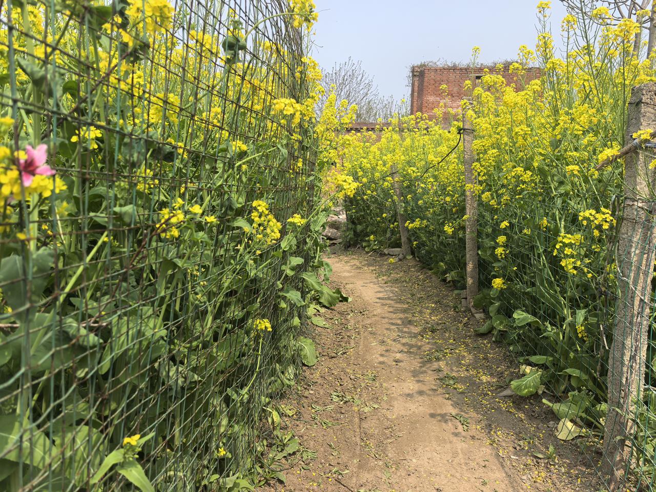 今年春天最想实现的心愿种下希望的种子，待花香瓜果满院！看到的网友春风得意马蹄疾，
