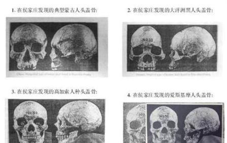 河南安阳，殷墟，考古学家从祭祀坑里挖出了近千颗人头骨，一测量，傻眼了——里面竟然