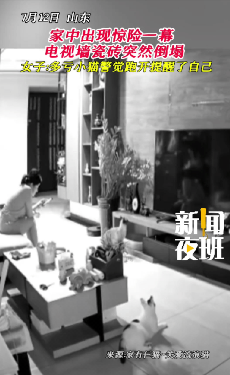 “立大功了！”山东，女子坐在沙发上低头玩手机，并不知道危险正在悄悄地向她靠近，两