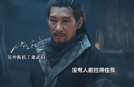 《长安二十四计》谢淮安以自己为饵，和岑伟宗设局狙杀吴仲衡，言凤山被谢淮安策反，最