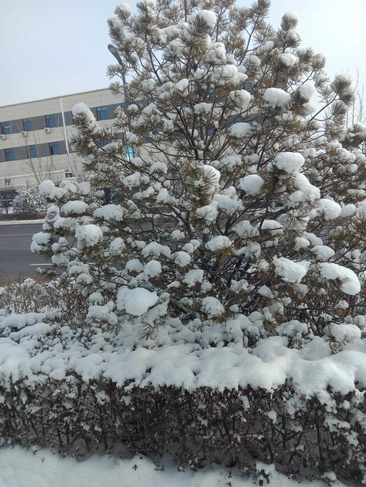 马上过年了，你开心吗？？？我一点也开心不起来，到现在了，我什么年货都没有准备，