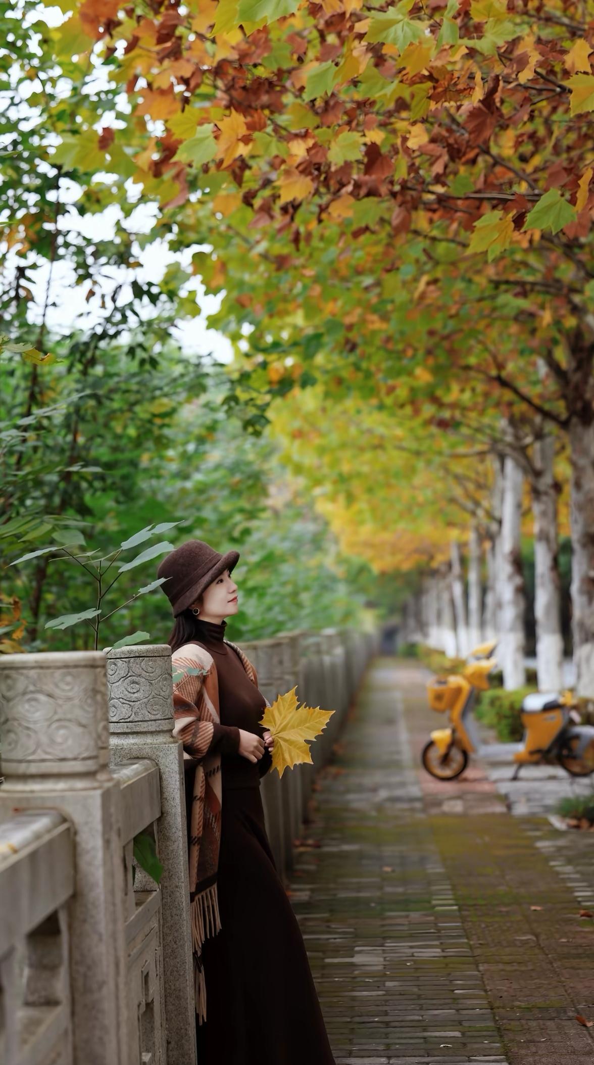 秋意渐浓，漫步在落叶铺满的小径上，感受大自然的温柔拥抱。🍂🍁🍂